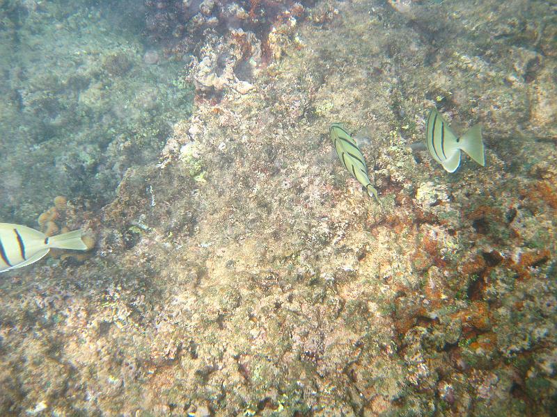 Picture 079